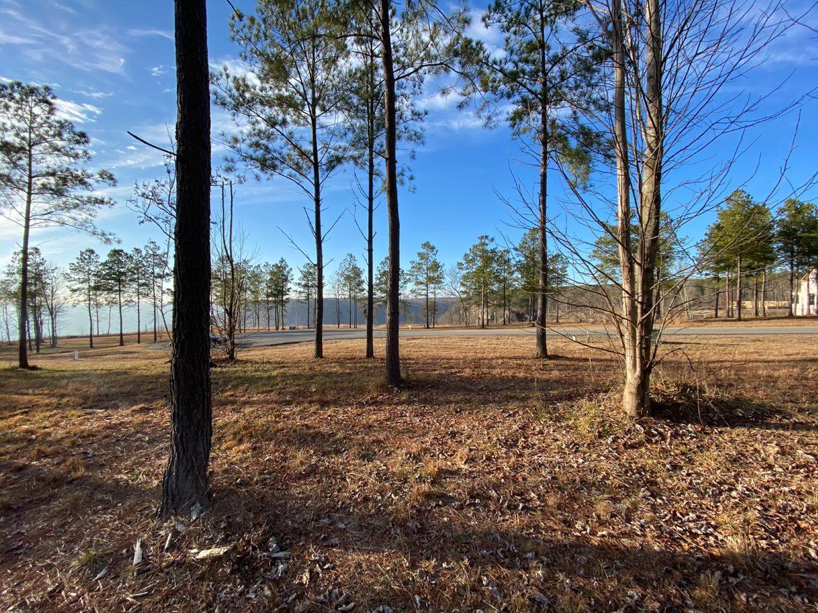 0 Pappy Road, Unit LOT 208 Jasper, TN 37347 - Photo 3 of 14 208 3