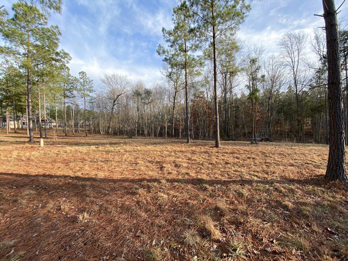 0 Pappy Road, Unit LOT 208 Jasper, TN 37347 - Photo 4 of 14 208 4
