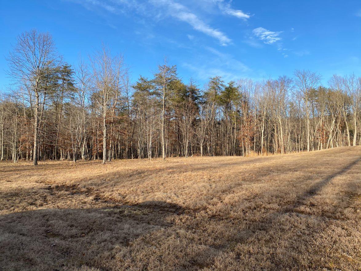 0 Pappy Road, Unit LOT 208 Jasper, TN 37347 - Photo 5 of 14 208 5