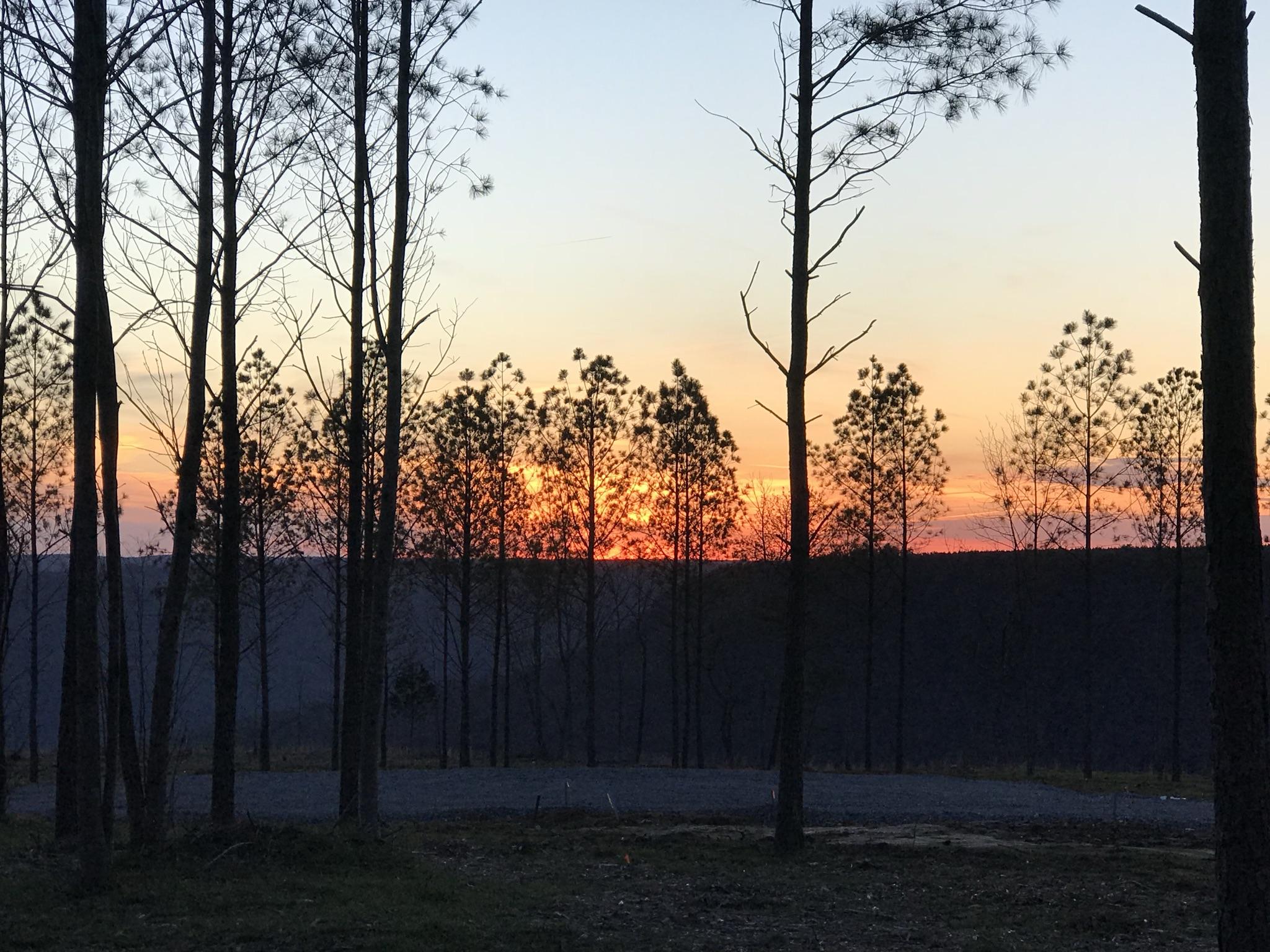 0 Pappy Road, Unit LOT 208 Jasper, TN 37347 - Photo 6 of 14 208 Sunset