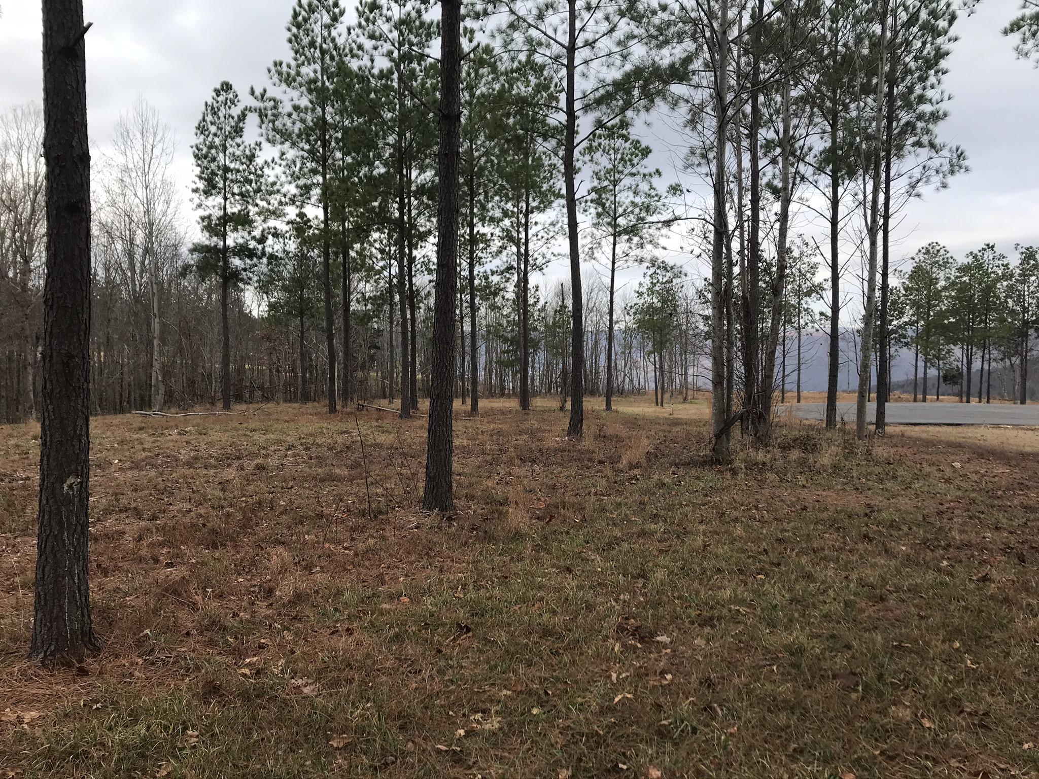 0 Pappy Road, Unit LOT 208 Jasper, TN 37347 - Photo 7 of 14 208 West