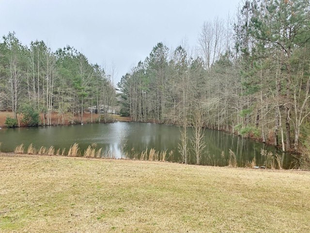 92 Union Creek Road Tylertown, MS 39667 - Photo 54 of 61 Photo 54