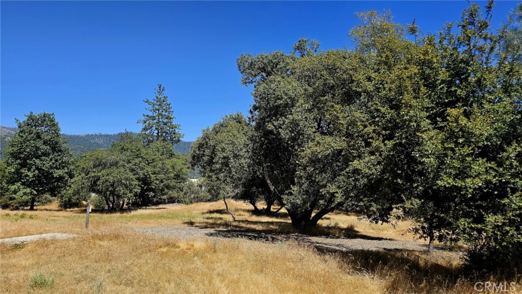 5430 Clouds Rest Mariposa, CA 95338 - Photo 5 of 6