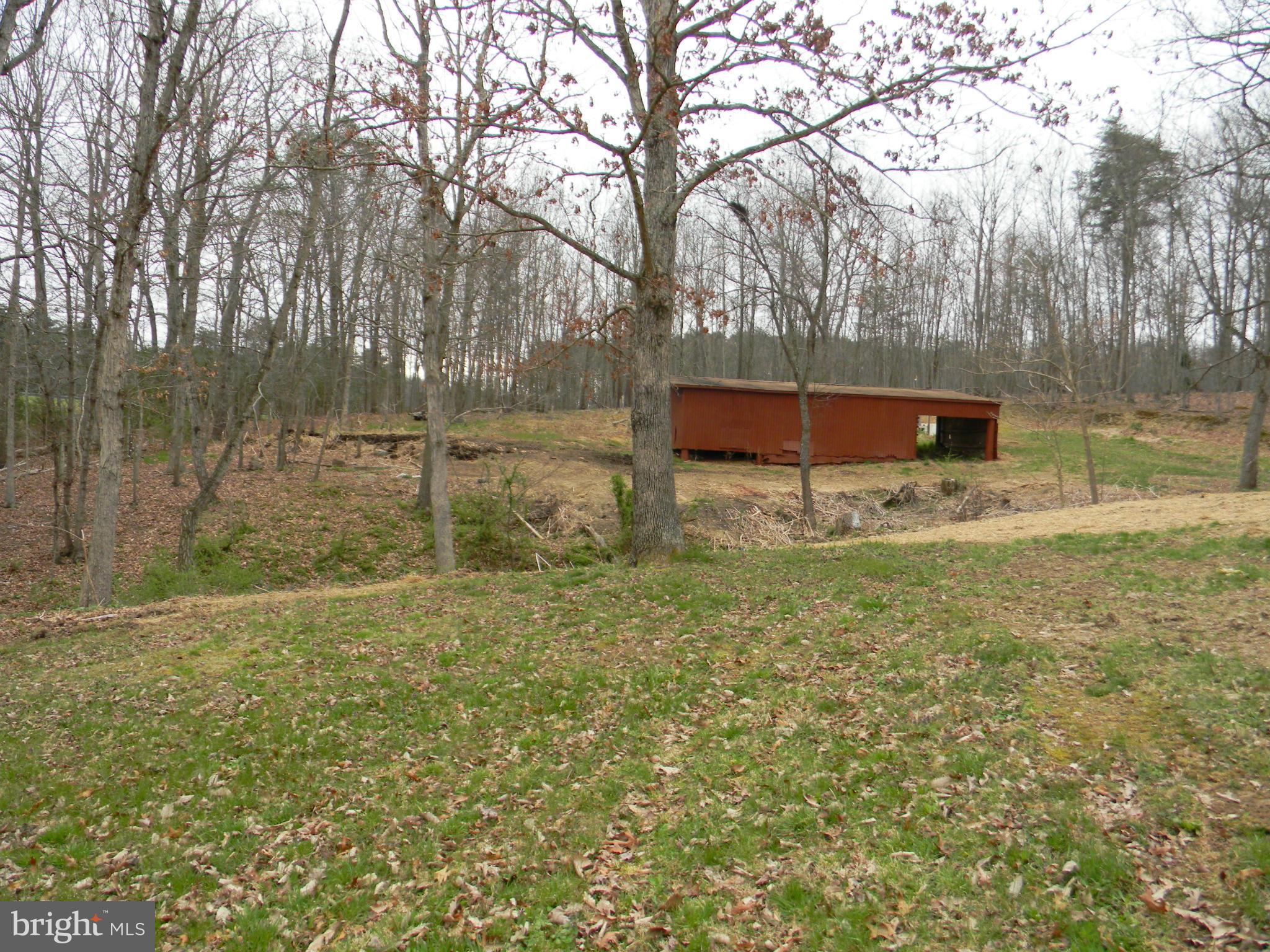 294 Pine Hills Road Front Royal, VA 22630 - Photo 3 of 24 Exterior (Rear)