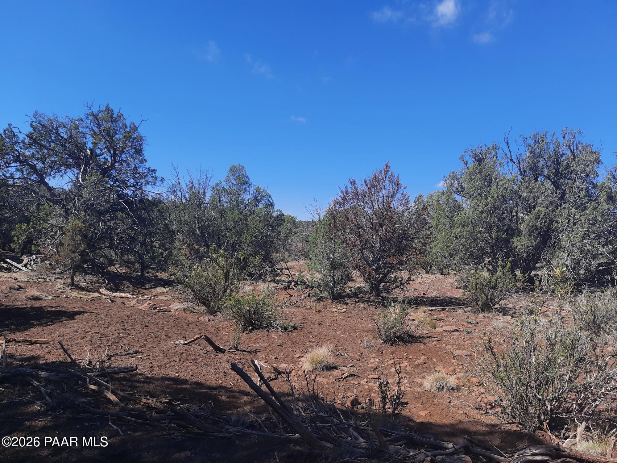 Lot 860 Fort Rock Road Kingman, AZ 86401 - Photo 10 of 20 a view of a dry yard with trees