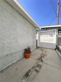 a potted plant sitting in front of a house