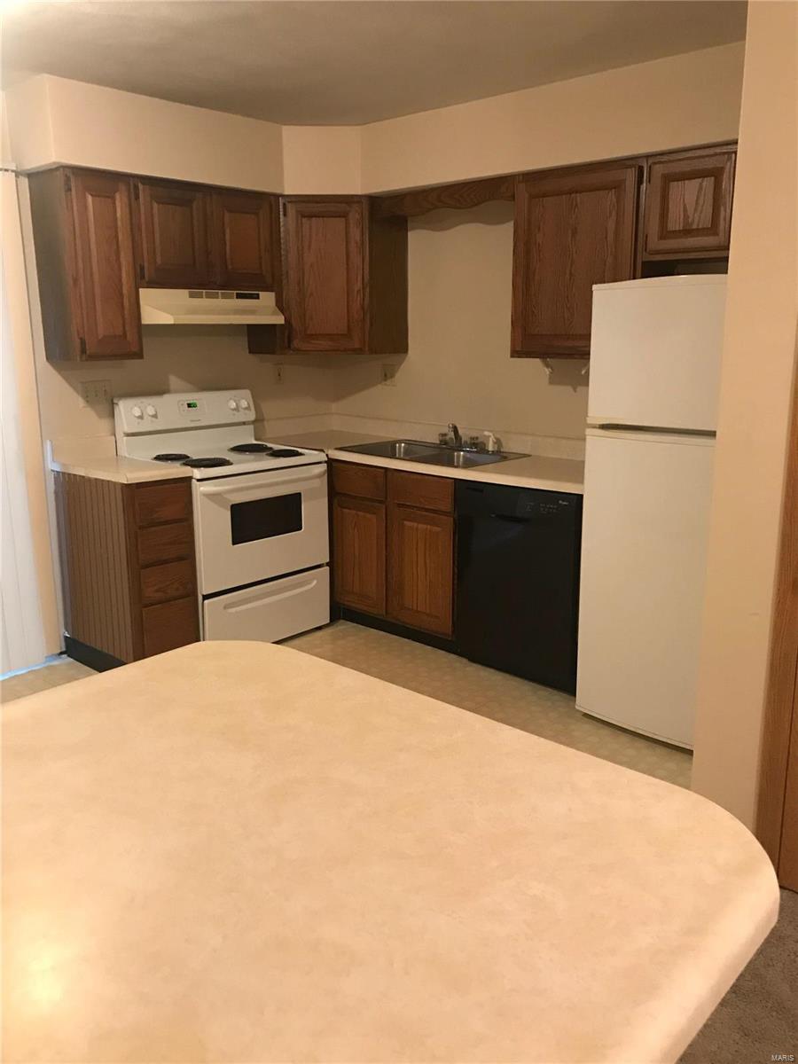 727 Oxen Drive Belleville, IL 62221 - Photo 4 of 16