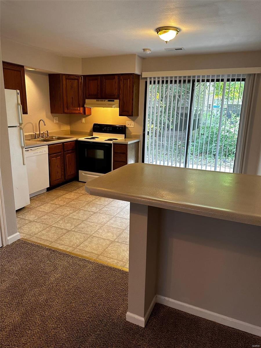 727 Oxen Drive Belleville, IL 62221 - Photo 9 of 16