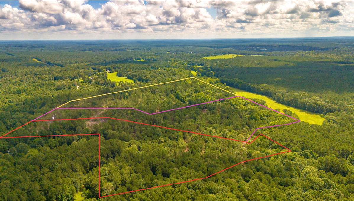 Tbd Lot 001 Tbd Road Moscow, TX 75960 - Photo 1 of 10 Gold portion identifies the lot