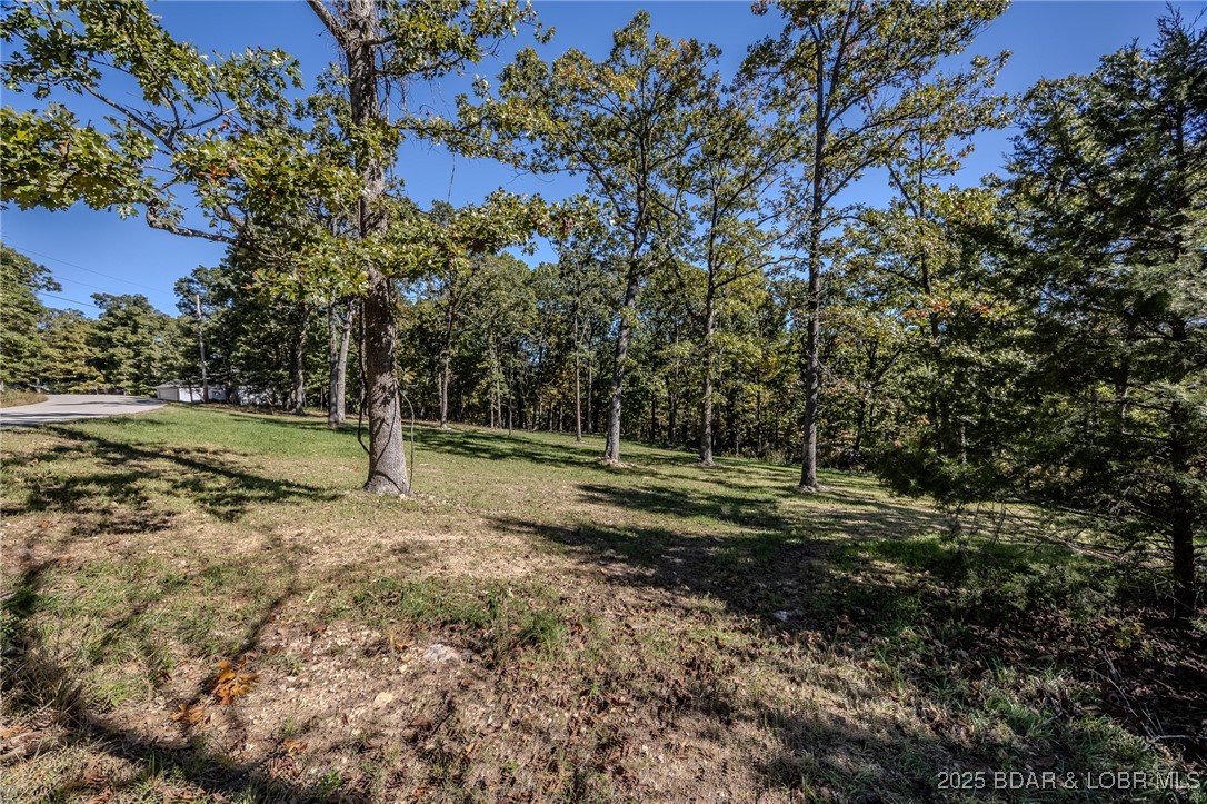 1102 Bear Paw Road Camdenton, MO 65020 - Photo 57 of 67 Cleared Pasture