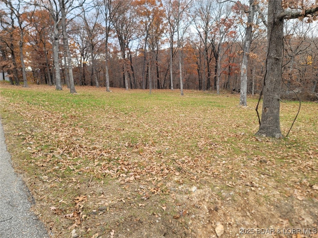 1102 Bear Paw Road Camdenton, MO 65020 - Photo 58 of 67 Cleared Pasture