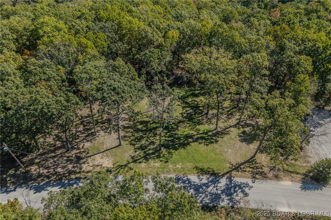 1102 Bear Paw Road Camdenton, MO 65020 - Photo 62 of 67