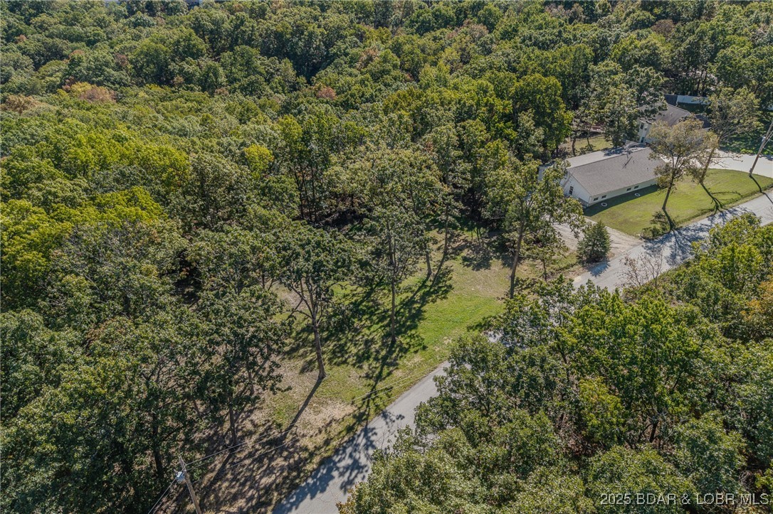 1102 Bear Paw Road Camdenton, MO 65020 - Photo 63 of 67