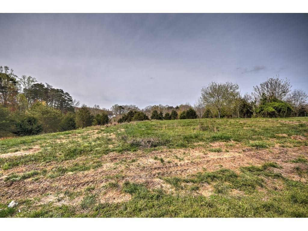 1469 Woods Ridge Road Dandridge, TN 37725 - Photo 24 of 24 Photo 24