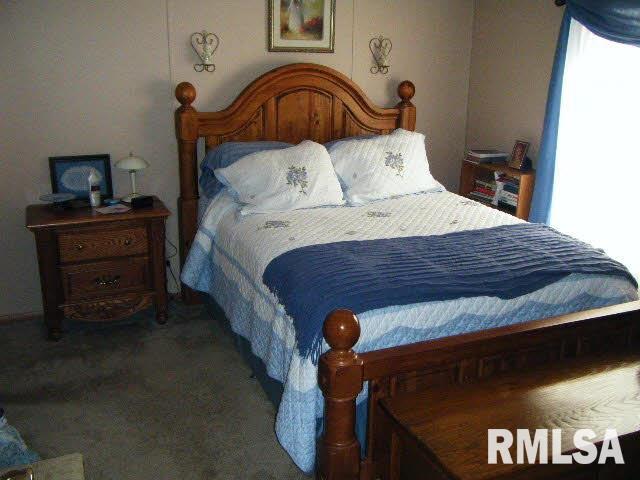 116 Center Street Anna, IL 62906 - Photo 8 of 13 Gallery Image 8