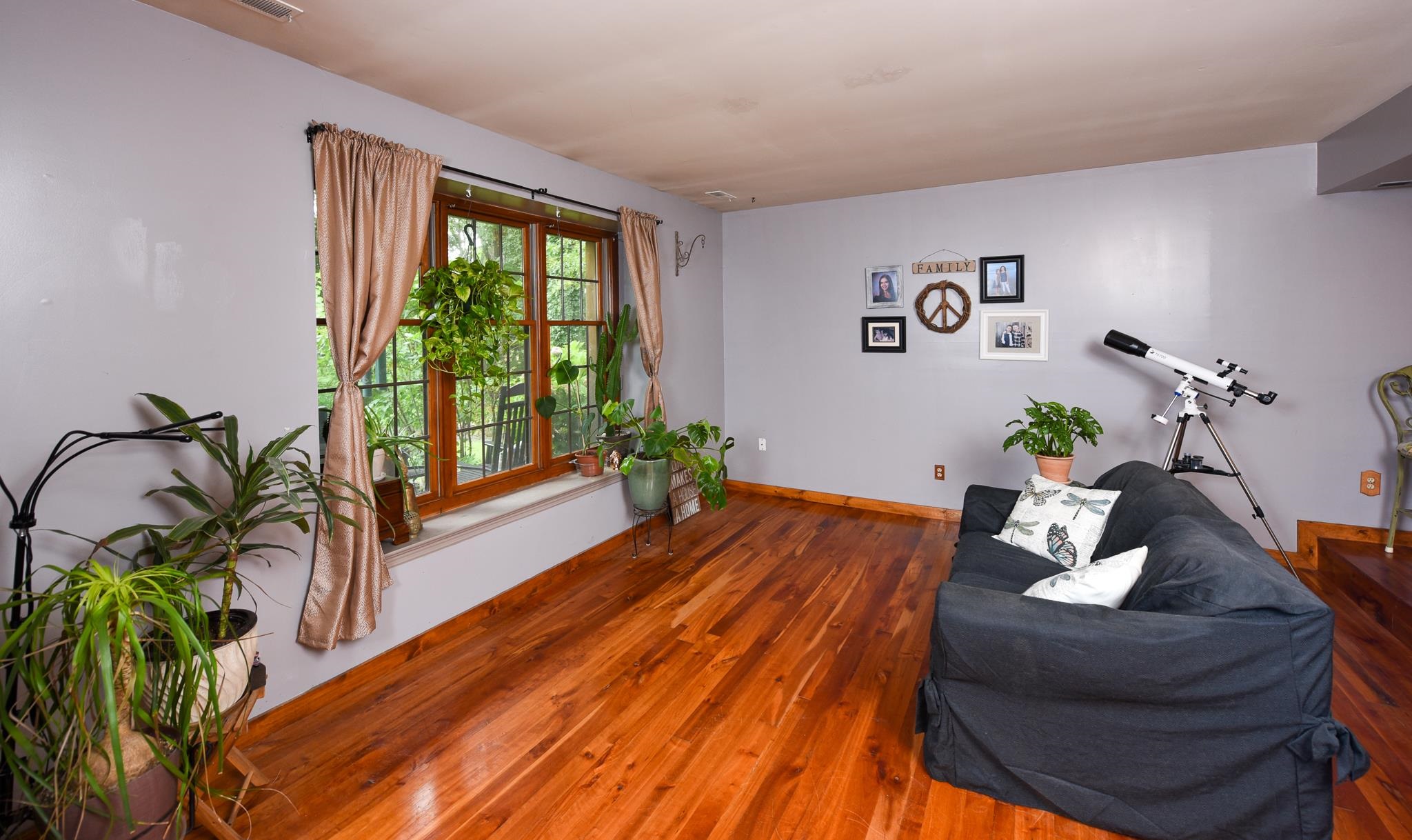5 Inlet Ocean View, NJ 08230 - Photo 7 of 34 a living room with furniture and a potted plant