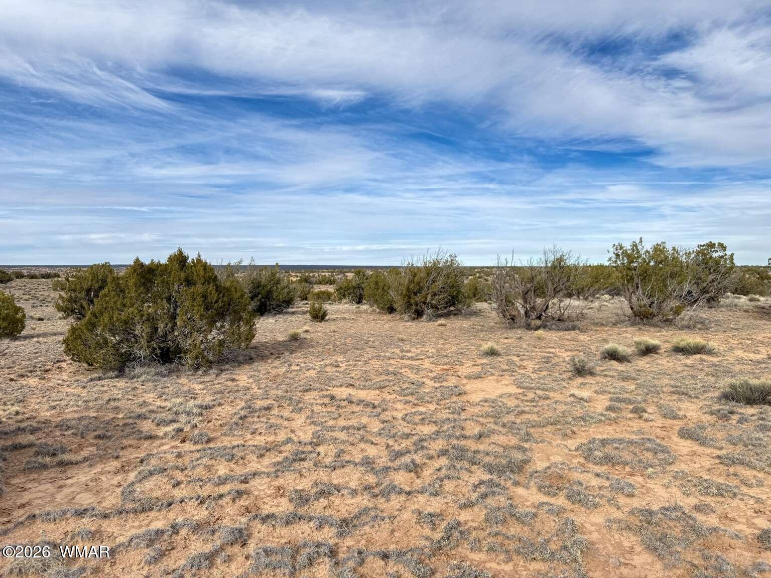 191 Sierra Highlands Road St. Johns, AZ 85936 - Photo 2 of 20