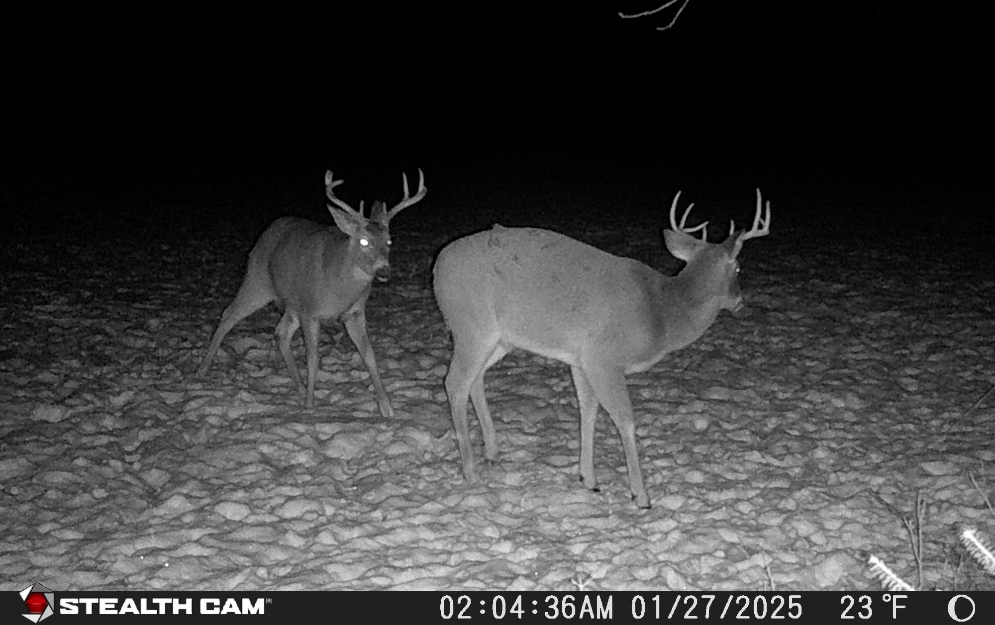 W181 Midway Road Hawkins, WI 54530 - Photo 21 of 56 Gallery Image 21