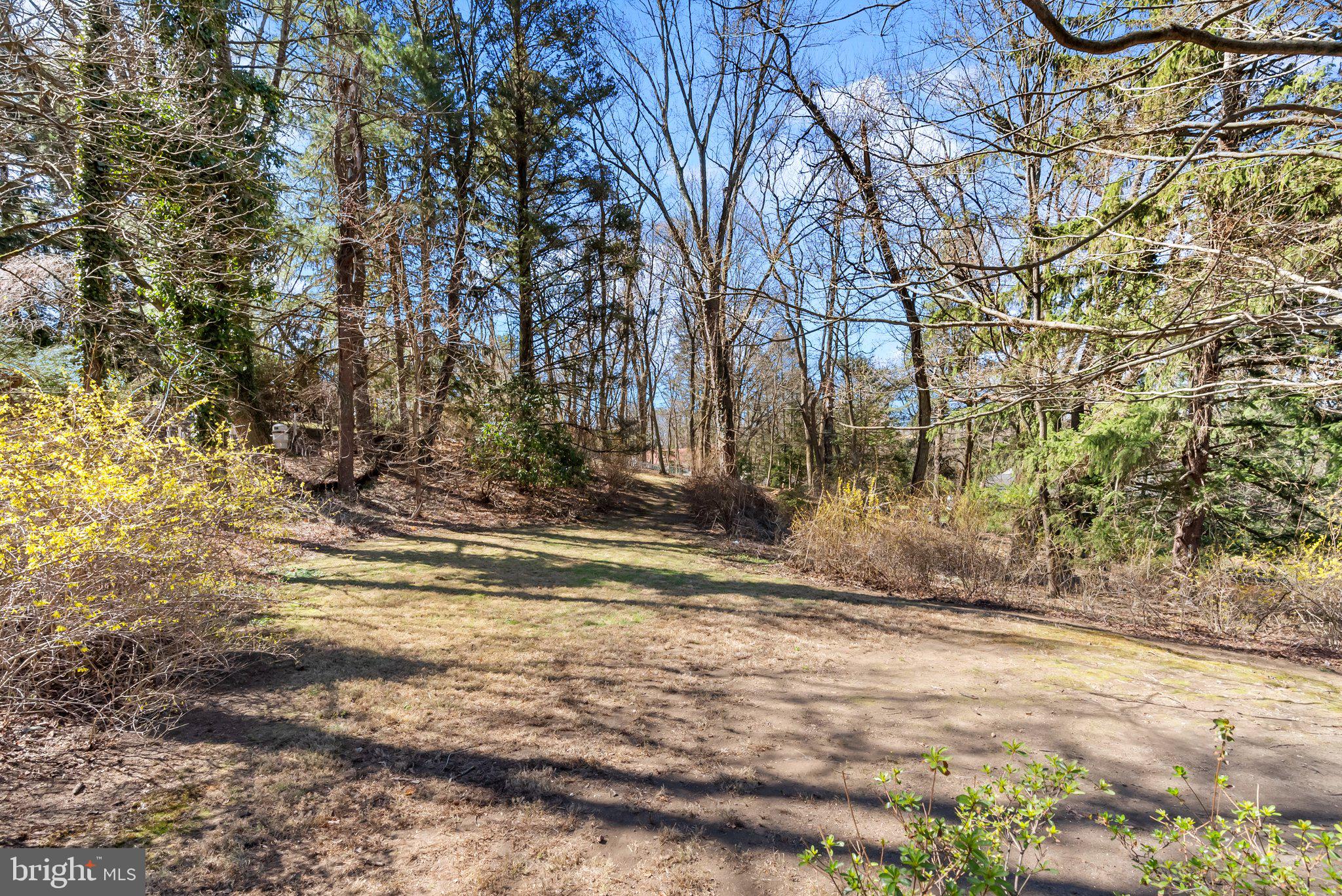 326 Hidden River Road Penn Valley, PA 19072 - Photo 39 of 56 a view of a yard with trees