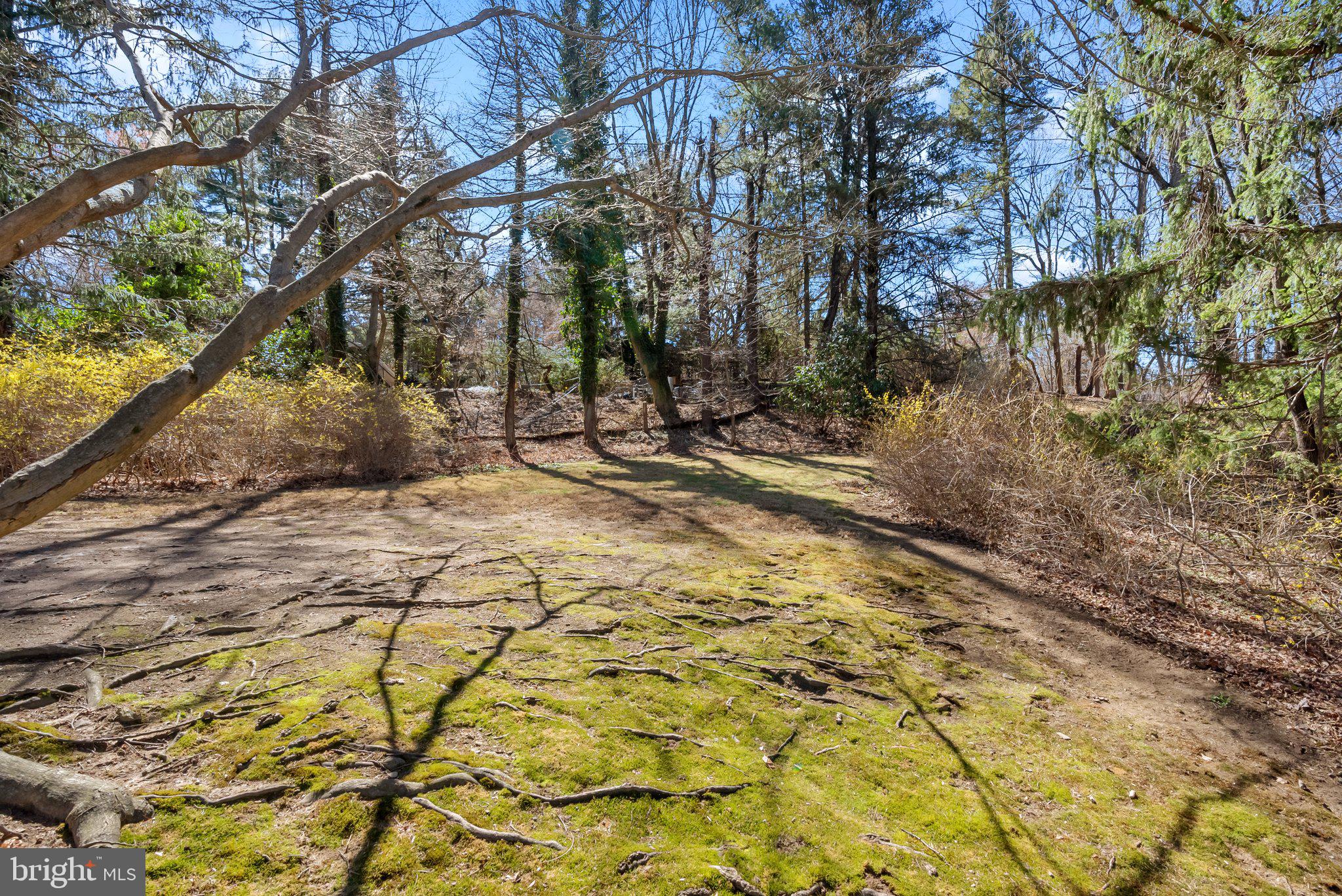326 Hidden River Road Penn Valley, PA 19072 - Photo 41 of 56