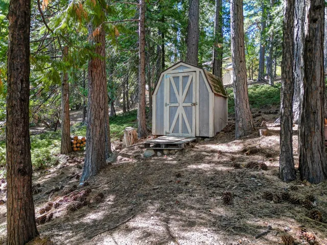 a view of a barn in the middle of a forest