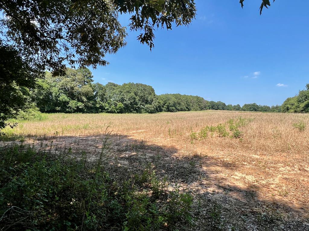 19-ac Ollie Pouncey Road Chancellor, AL 36316 - Photo 10 of 16