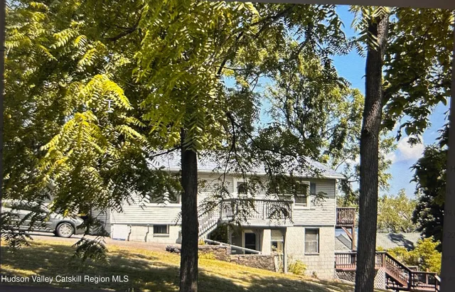 a tall tree in middle of the forest