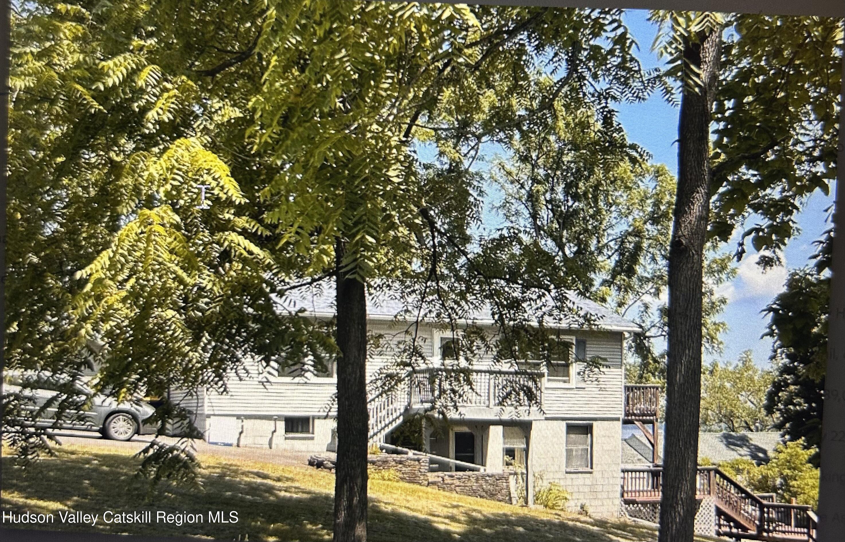 a tall tree in middle of the forest