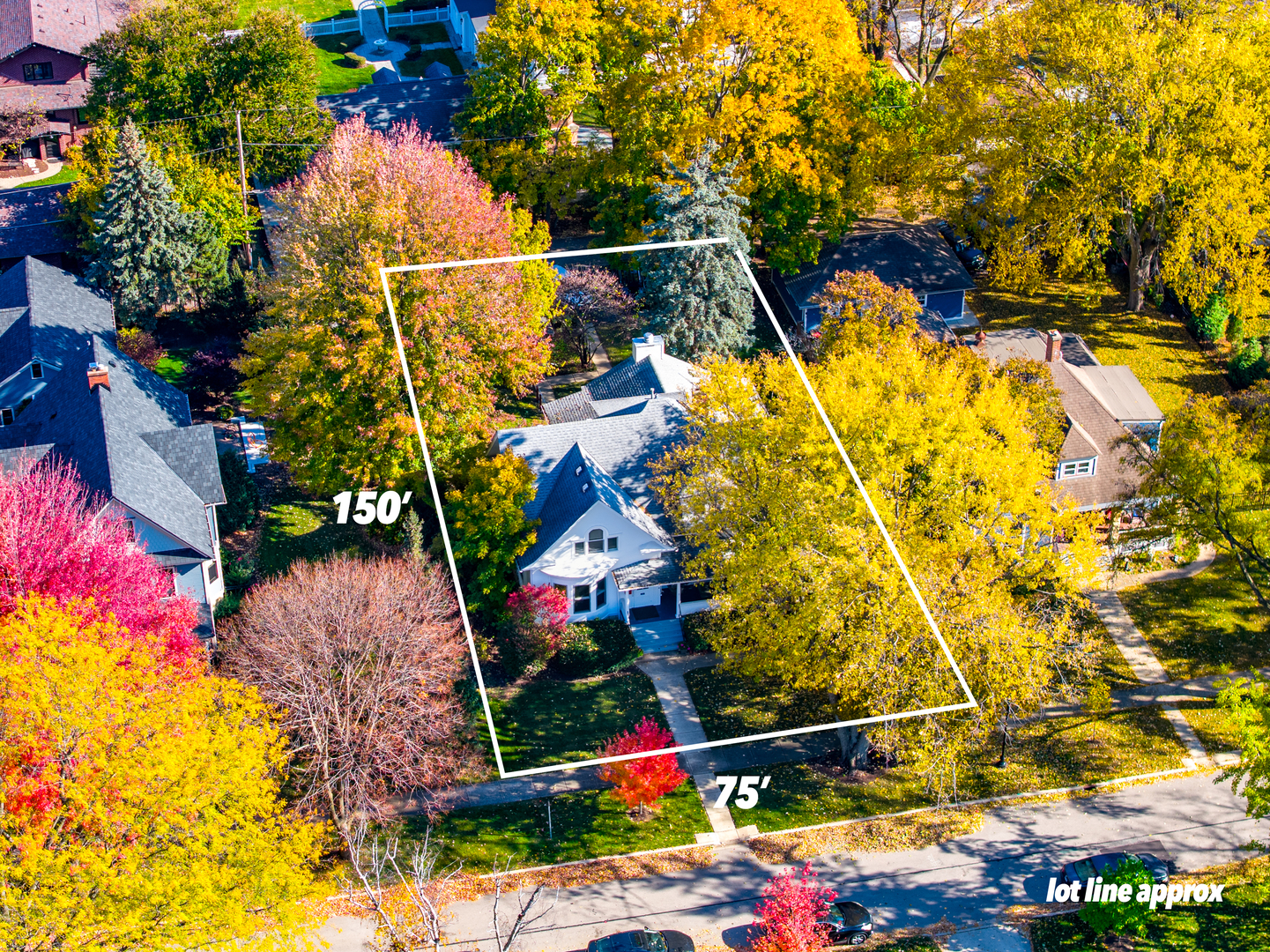 116 South Wright Street Naperville, IL 60540 - Photo 2 of 49 a view of swimming pool with a garden