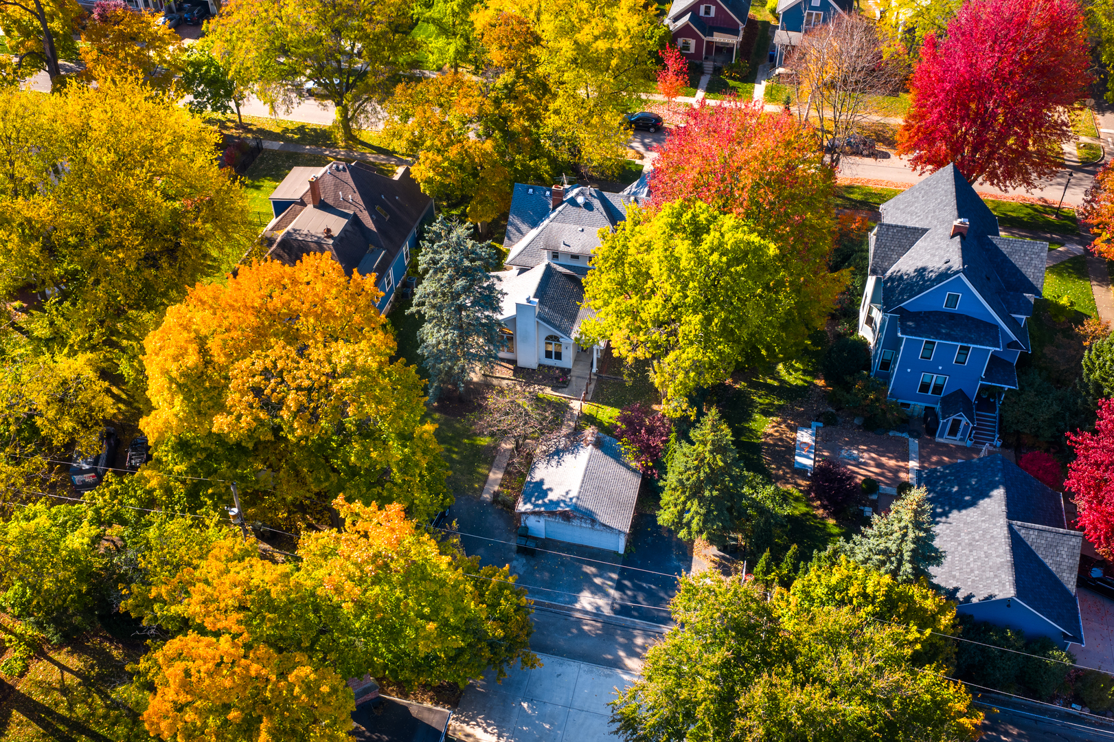 116 South Wright Street Naperville, IL 60540 - Photo 40 of 49 a picture of flowers