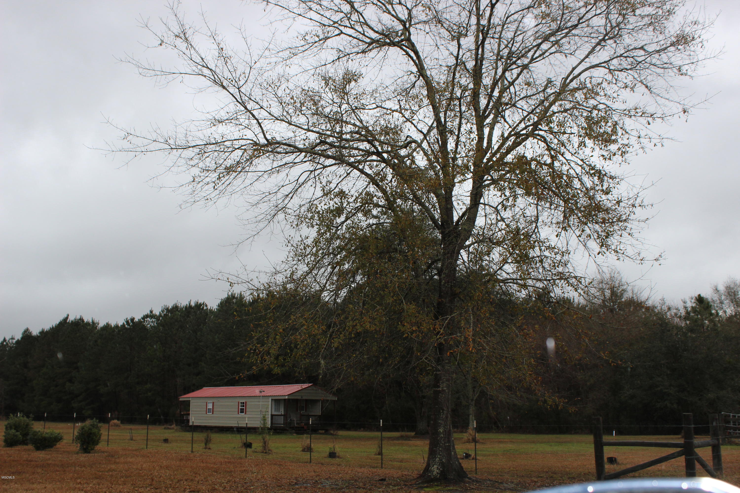 25014 Rosedale Church Road Lucedale, MS 39452 - Photo 23 of 26 IMG_0925