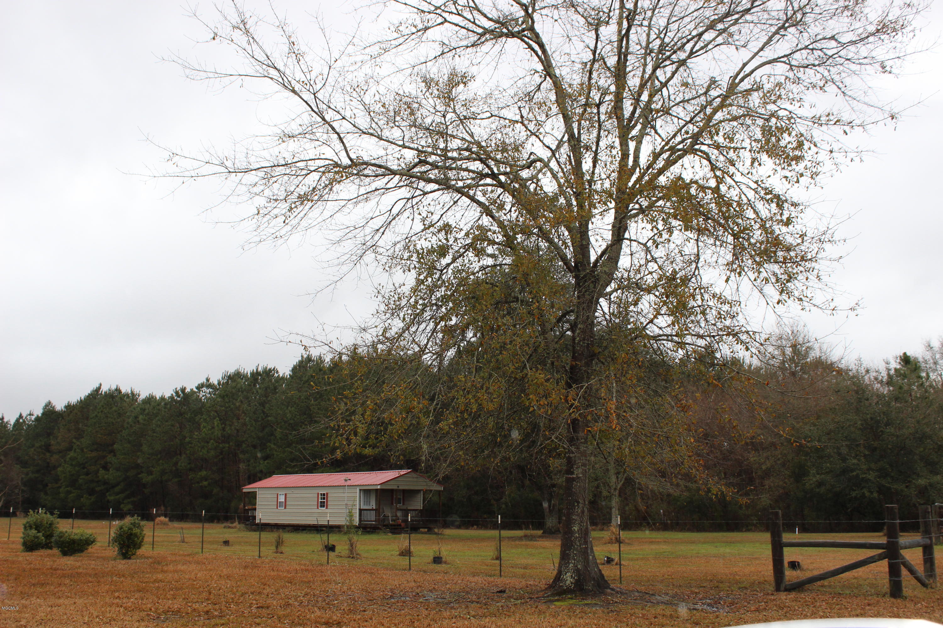 25014 Rosedale Church Road Lucedale, MS 39452 - Photo 24 of 26 IMG_0926