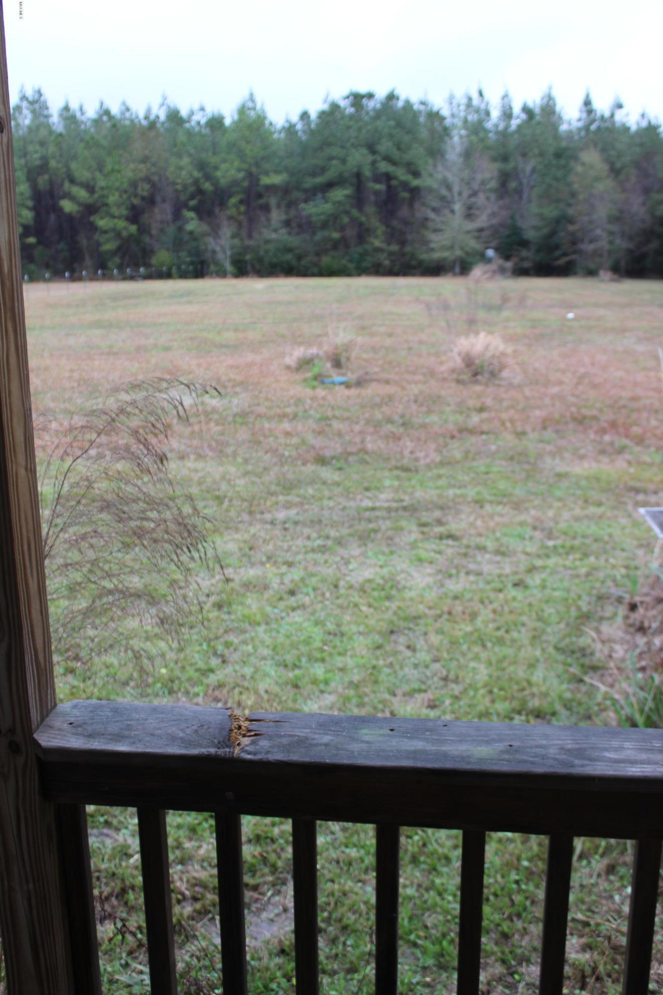 25014 Rosedale Church Road Lucedale, MS 39452 - Photo 26 of 26 IMG_0918