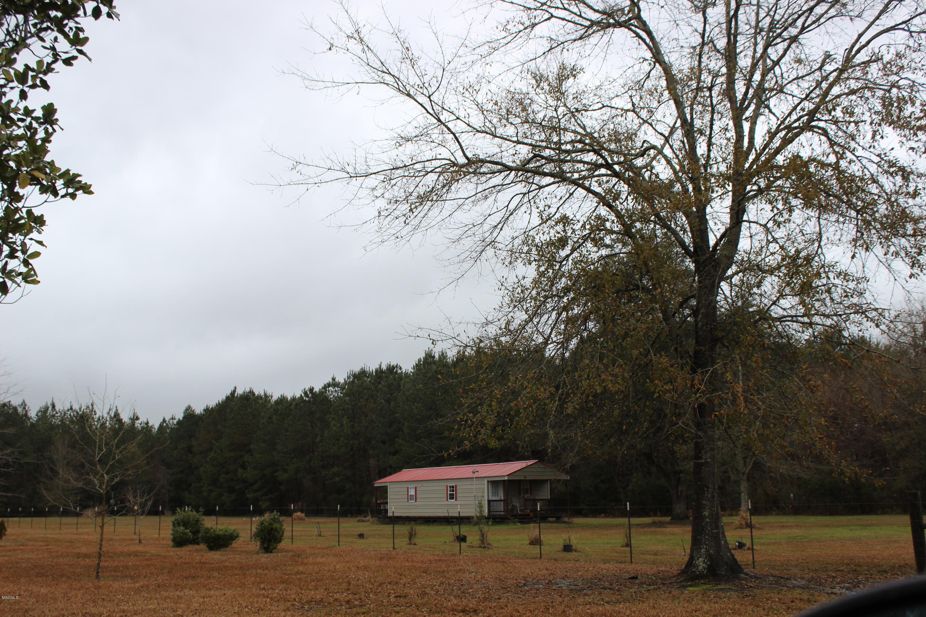 25014 Rosedale Church Road Lucedale, MS 39452 - Photo 5 of 26 IMG_0924