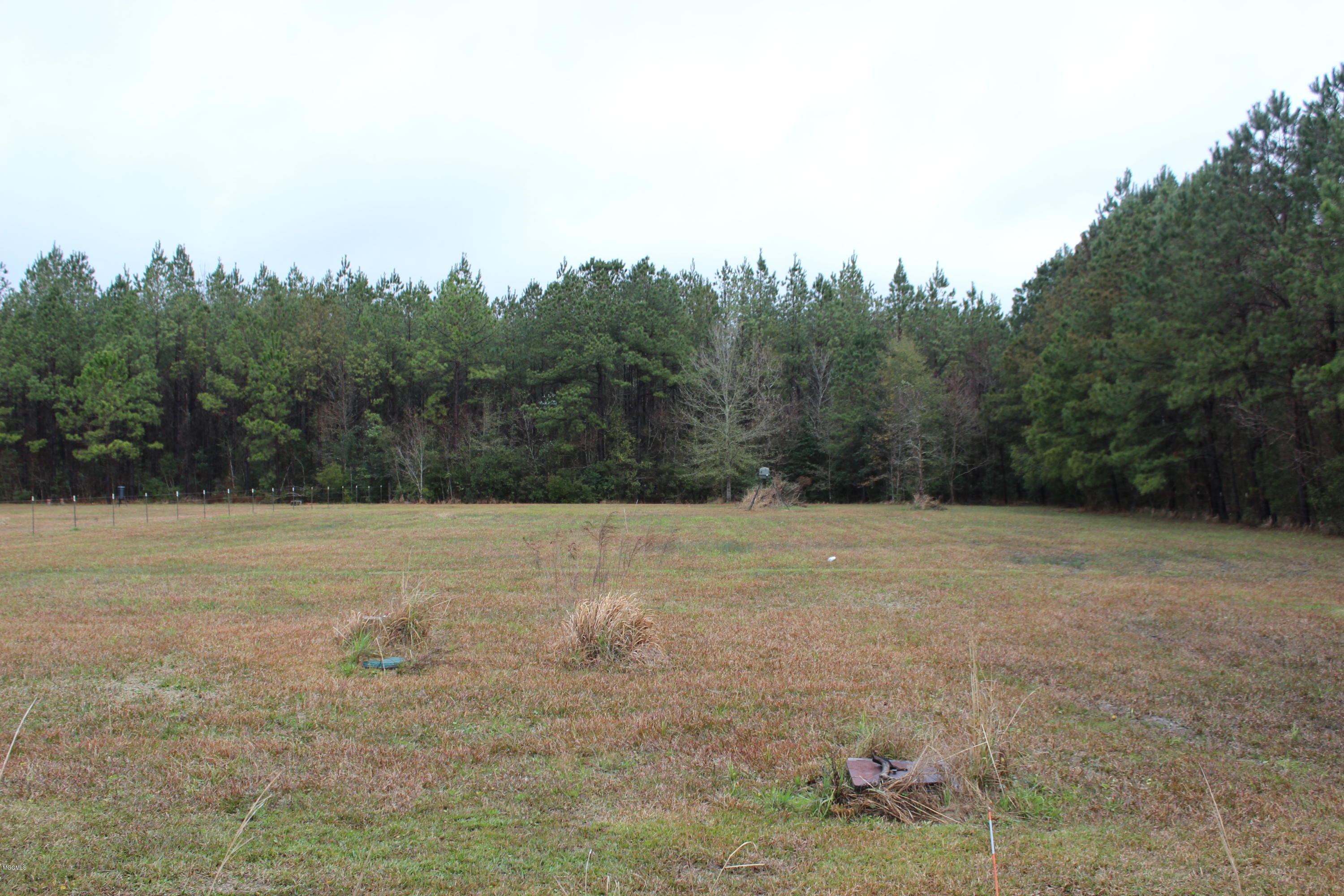 25014 Rosedale Church Road Lucedale, MS 39452 - Photo 6 of 26 IMG_0916