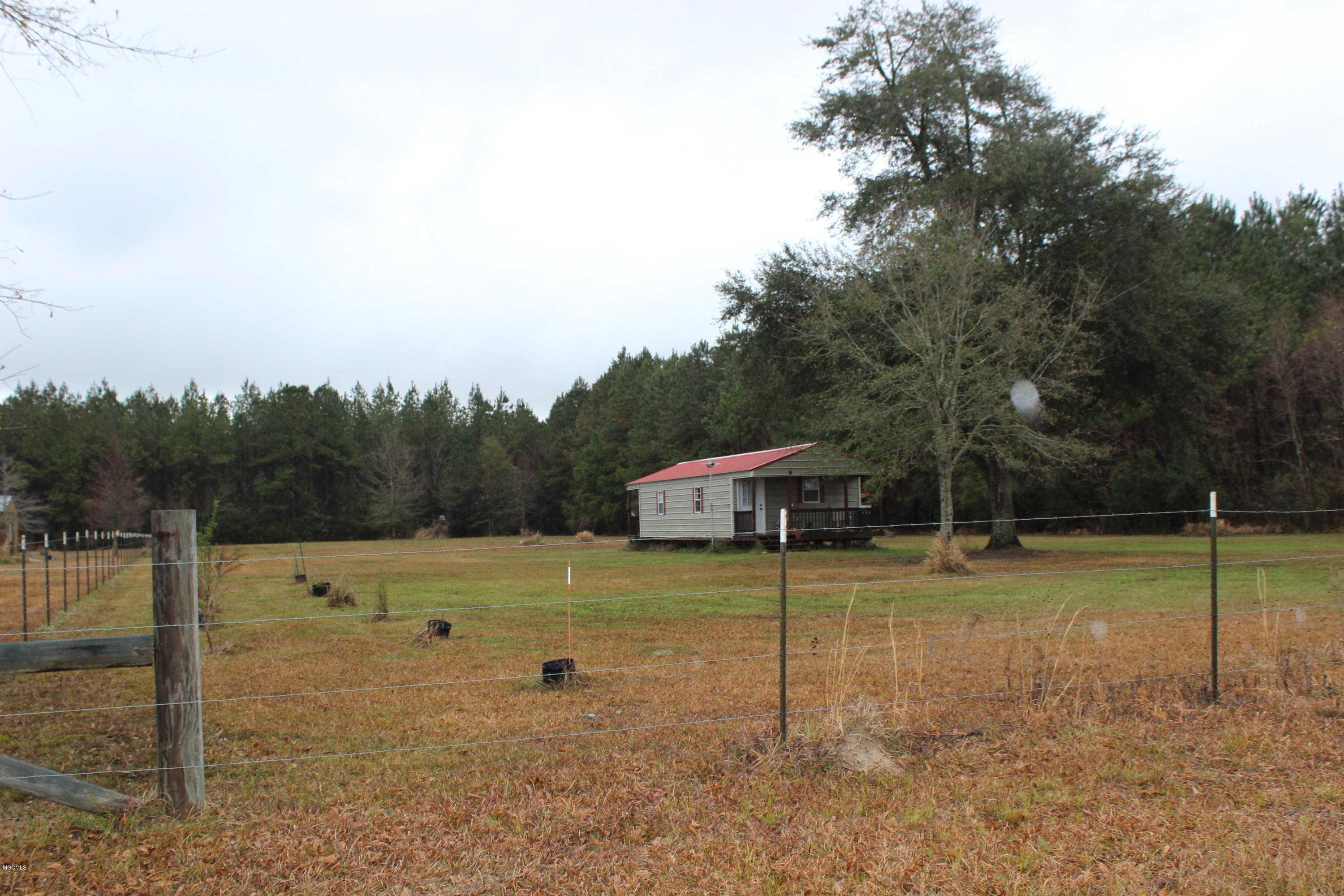 25014 Rosedale Church Road Lucedale, MS 39452 - Photo 7 of 26 IMG_0927