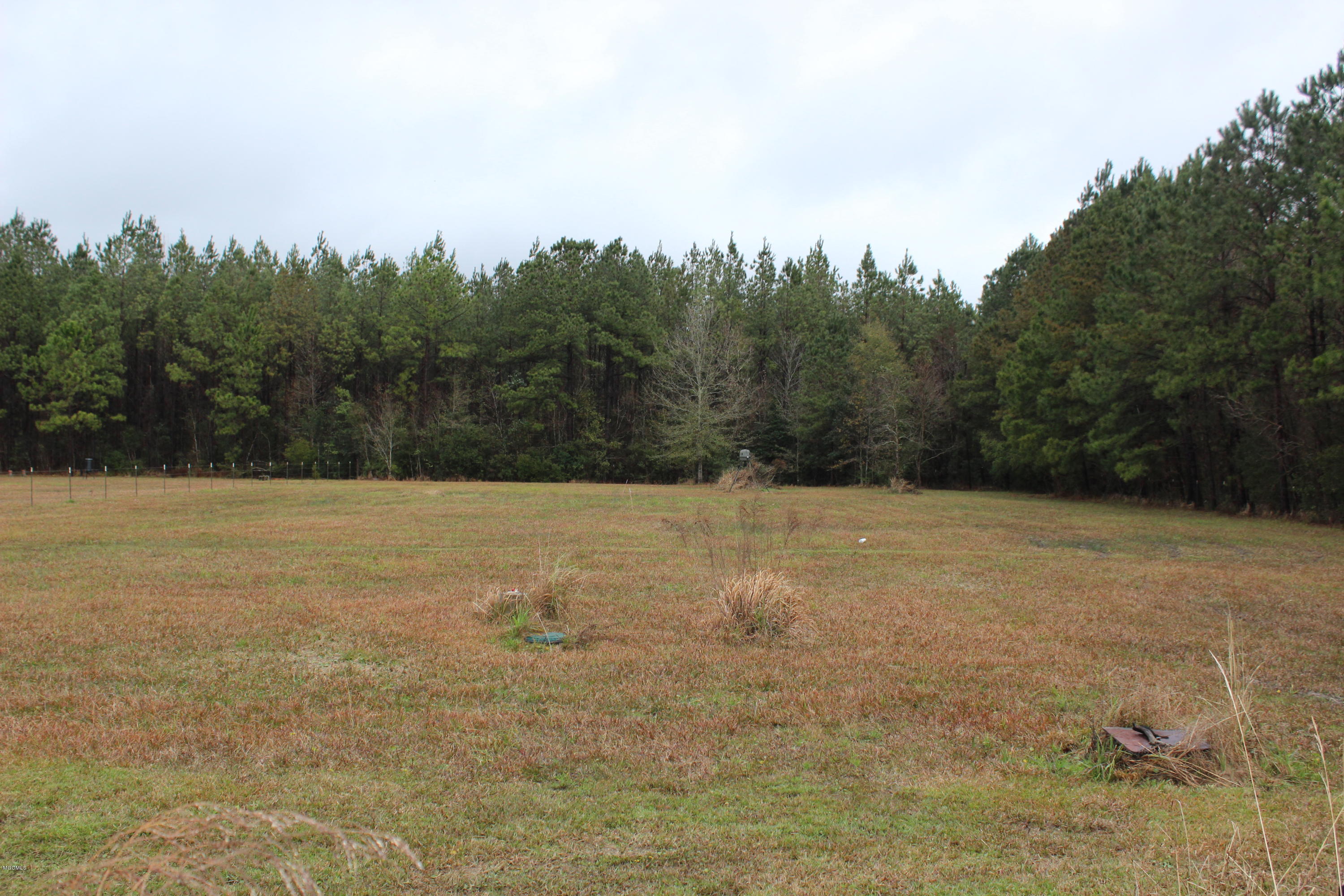 25014 Rosedale Church Road Lucedale, MS 39452 - Photo 8 of 26 IMG_0914