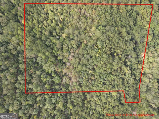 a close up of a wall