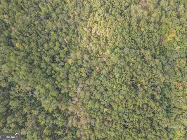 $65,000 | 0 Johns Road, West Point, GA 31833