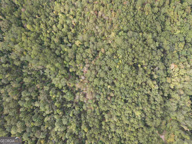 $65,000 | 0 Johns Road, West Point, GA 31833