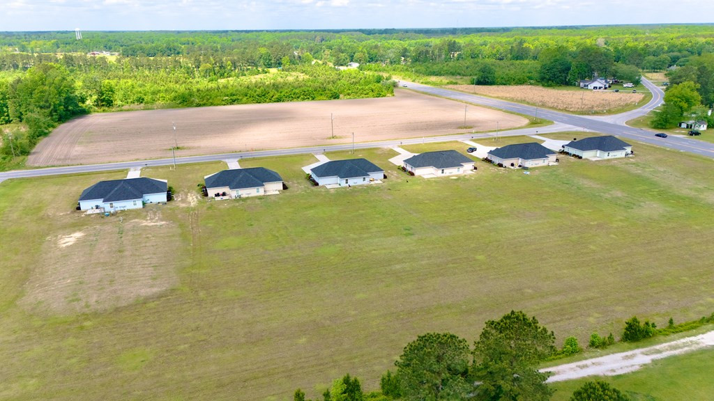 1255 Sandhill Road Turbeville, SC 29162 - Photo 4 of 30 Gallery Image 4