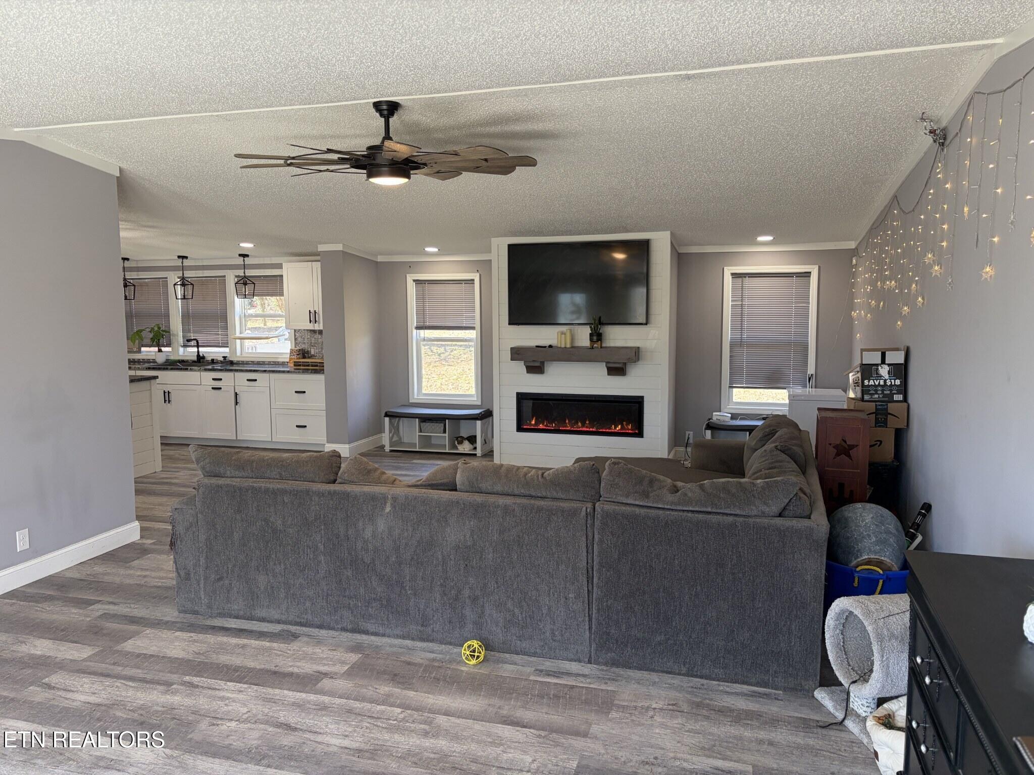 1382 Blackburn Fork Road Cookeville, TN 38501 - Photo 4 of 25 Living Room_MLS_Optimized