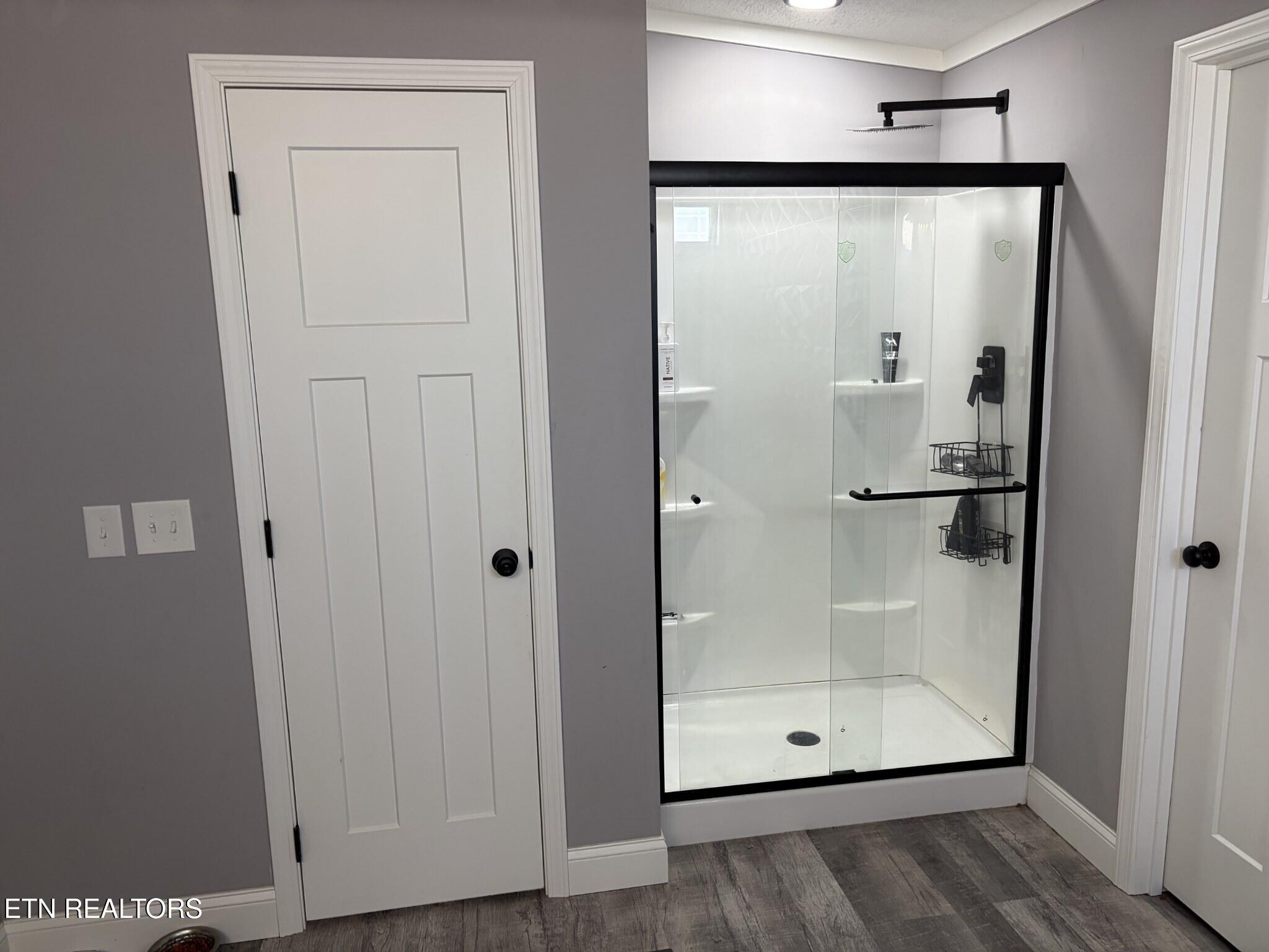 1382 Blackburn Fork Road Cookeville, TN 38501 - Photo 10 of 25 Master Shower_MLS_Optimized
