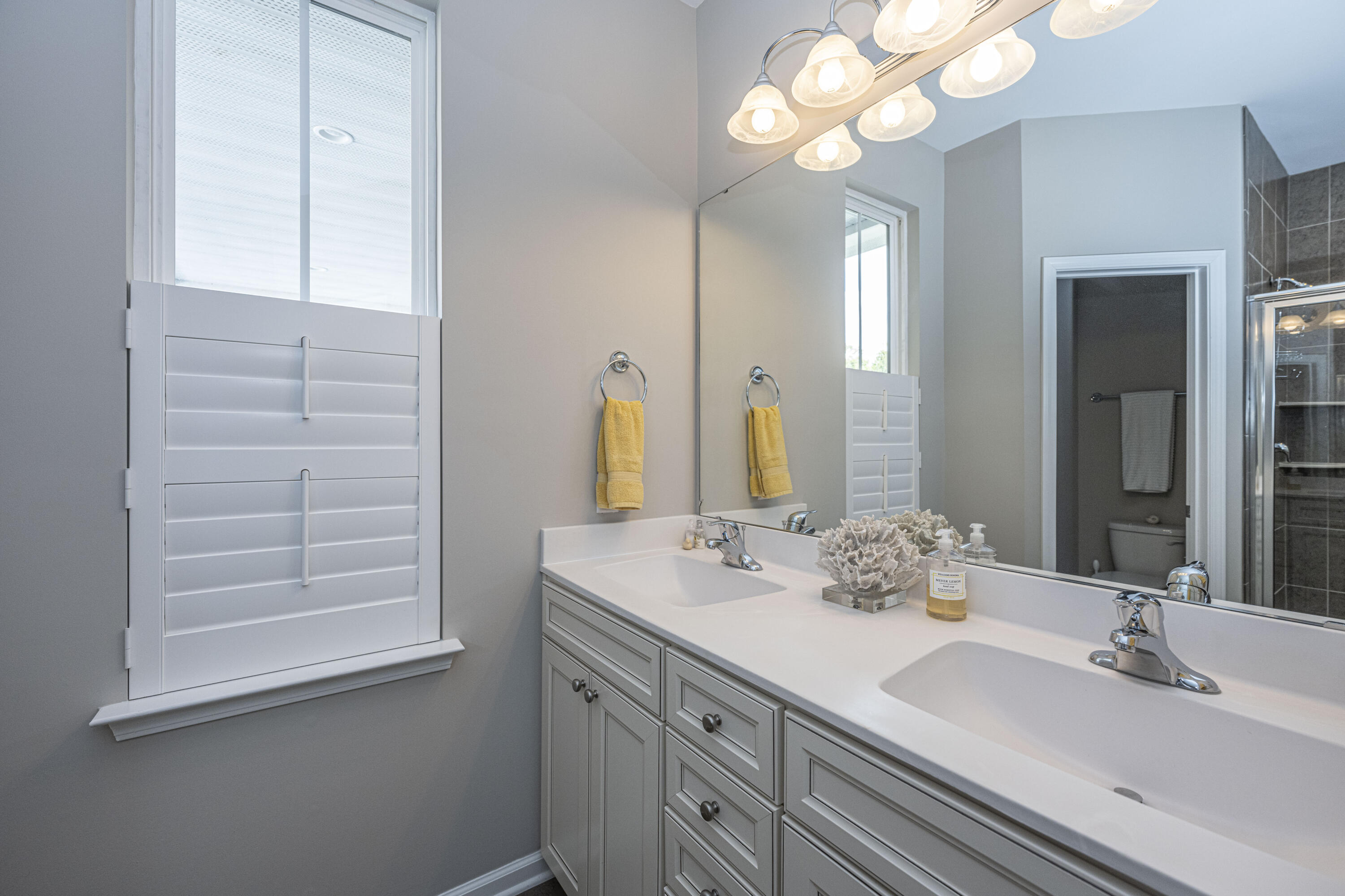 2889 Rutherford Way Charleston, SC 29414 - Photo 17 of 32 Master Bath 3