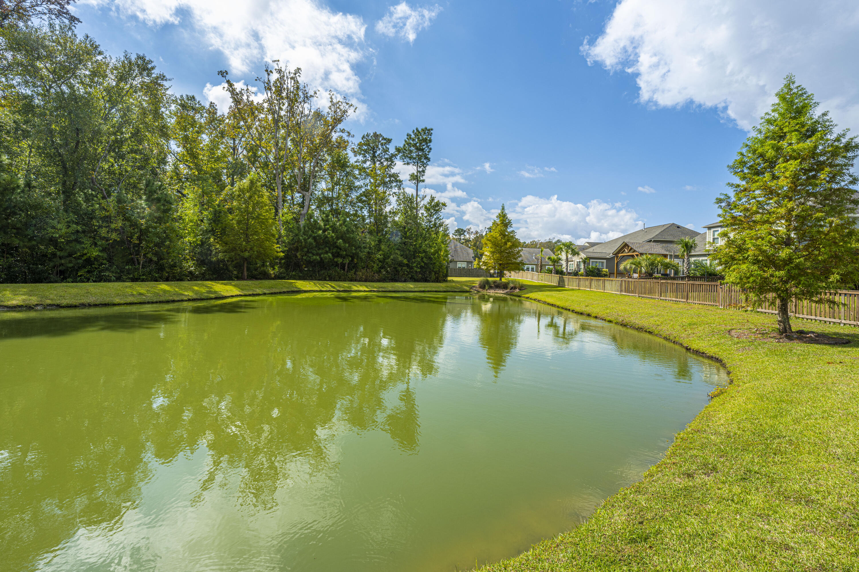 2889 Rutherford Way Charleston, SC 29414 - Photo 32 of 32 Pond 2