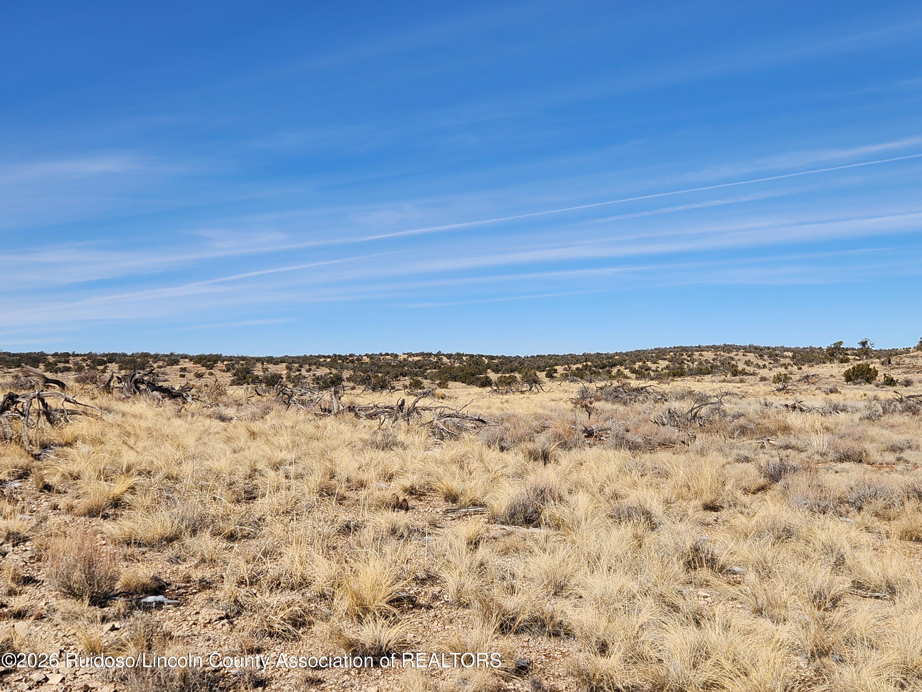 Lot 183 Windmill Road Carrizozo, NM 88301 - Photo 23 of 24 Gallery Image 23