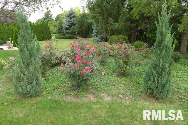 405 West Wolf Road Peoria, IL 61614 - Photo 34 of 36 Gallery Image 34