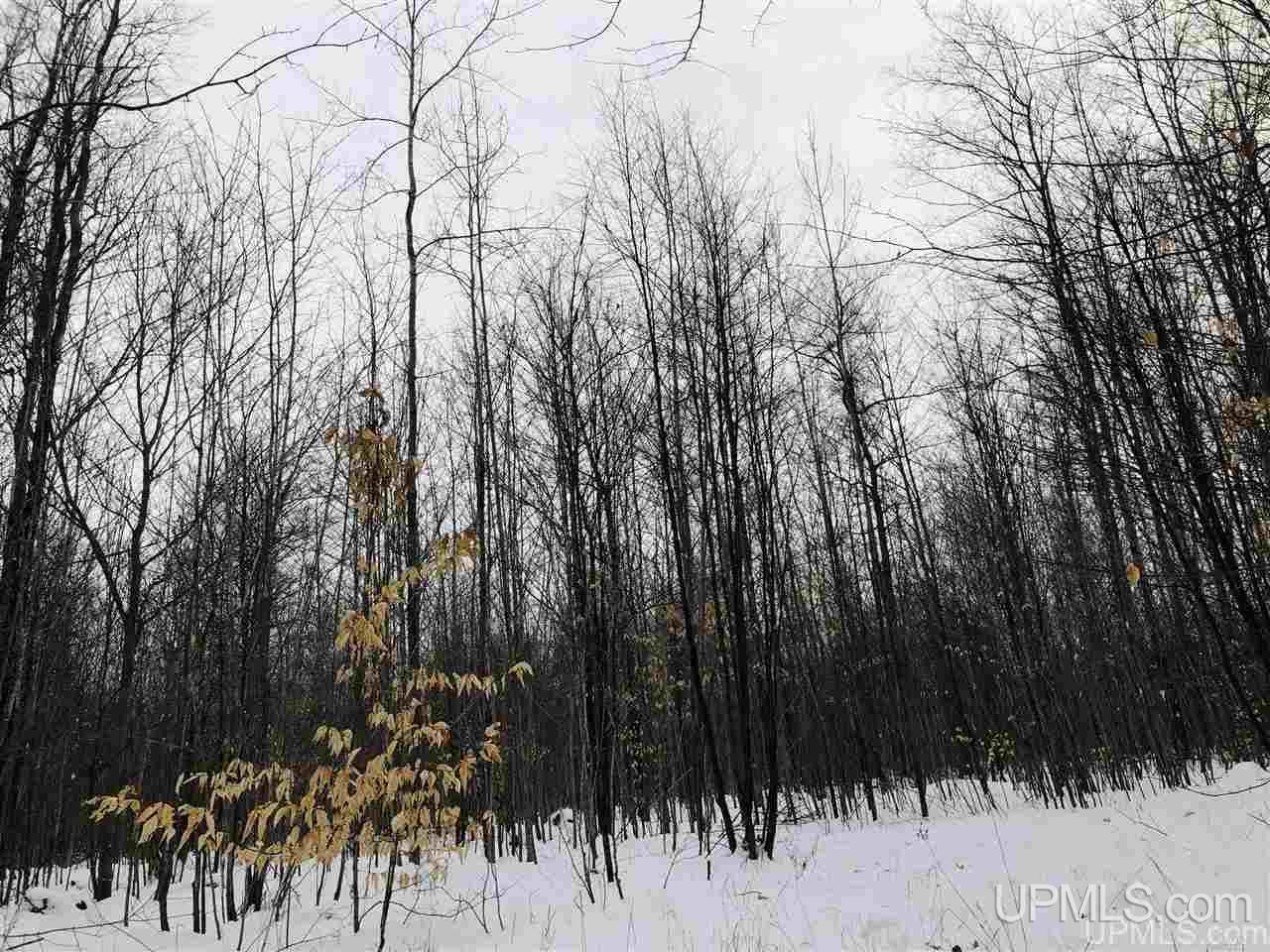 Tbd East Edge Road Germfask, MI 49836 - Photo 2 of 5