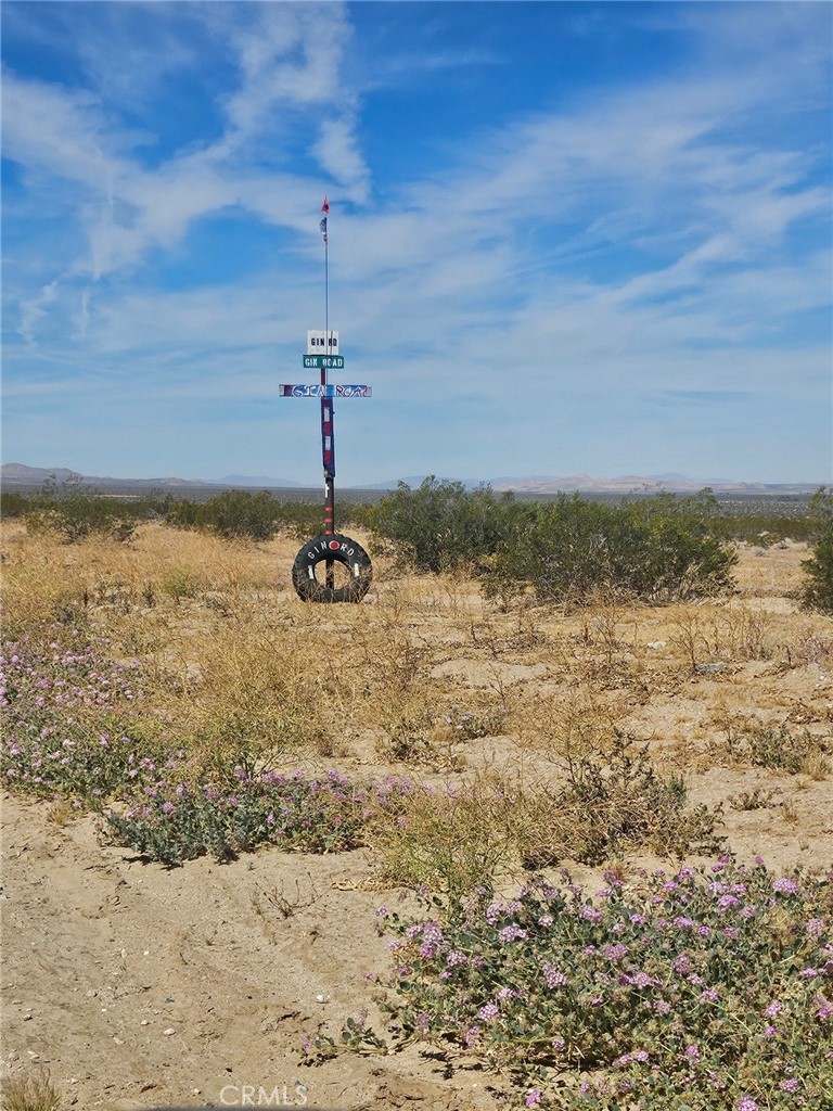 0 Gin Road Landers, CA 92285 - Photo 3 of 5