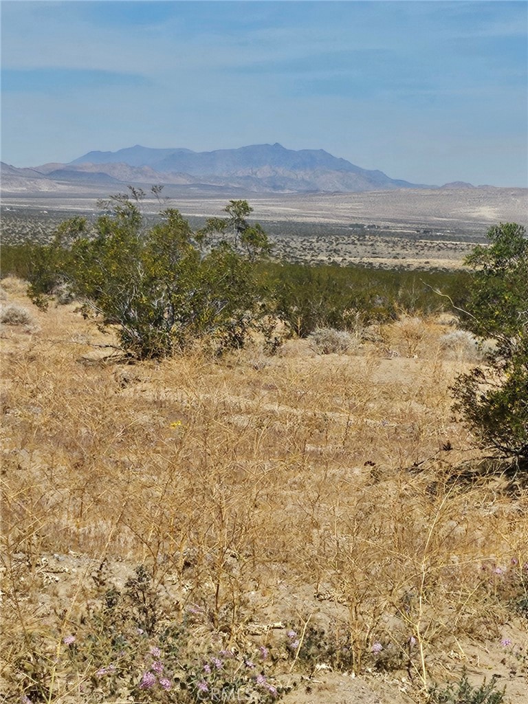 0 Gin Road Landers, CA 92285 - Photo 4 of 5